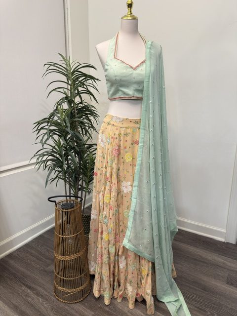 Blush georgette lehenga with halter blouse, full view