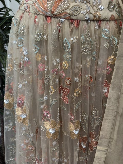 Nude embroidered net lehenga set, embroidery detail