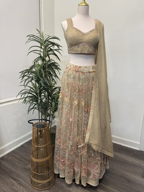 Nude embroidered net lehenga set, full view